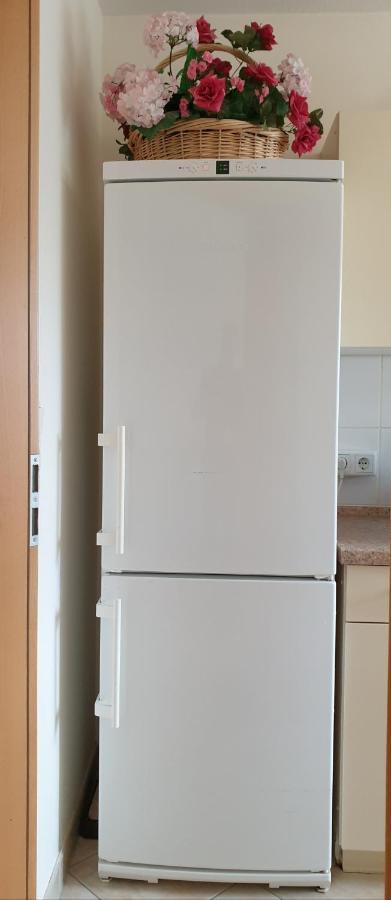 Ferienwohnung Maria - Bad Kissingen Exteriér fotografie